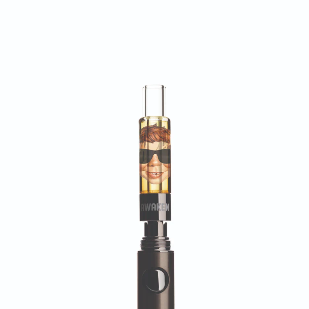Awaken® Vape Blaster Cartridges 1ml - Sundae Driver #2 (Hybrid)