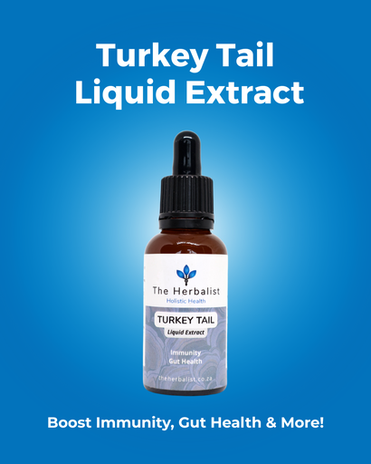 Turkey Tail Liquid Extract 30ml
