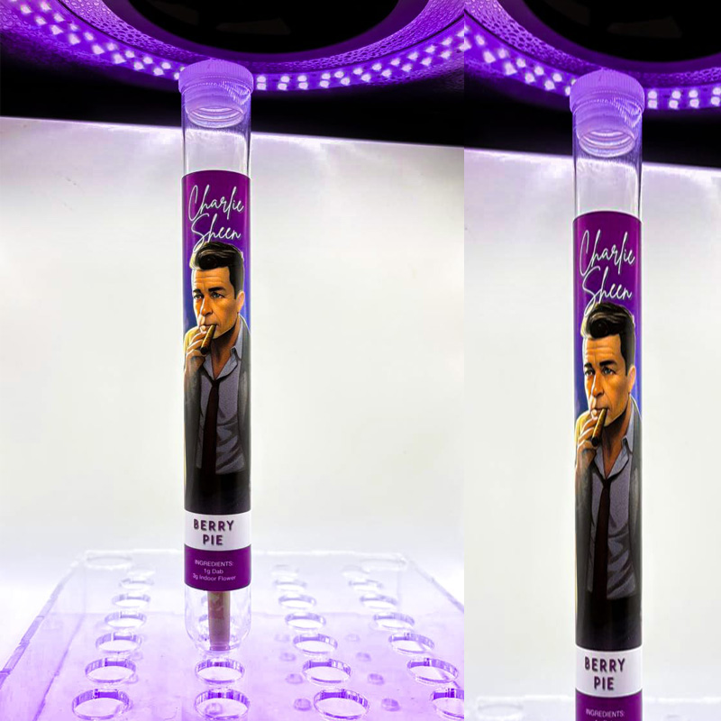 Charlie Sheen 800x800 c.jpg