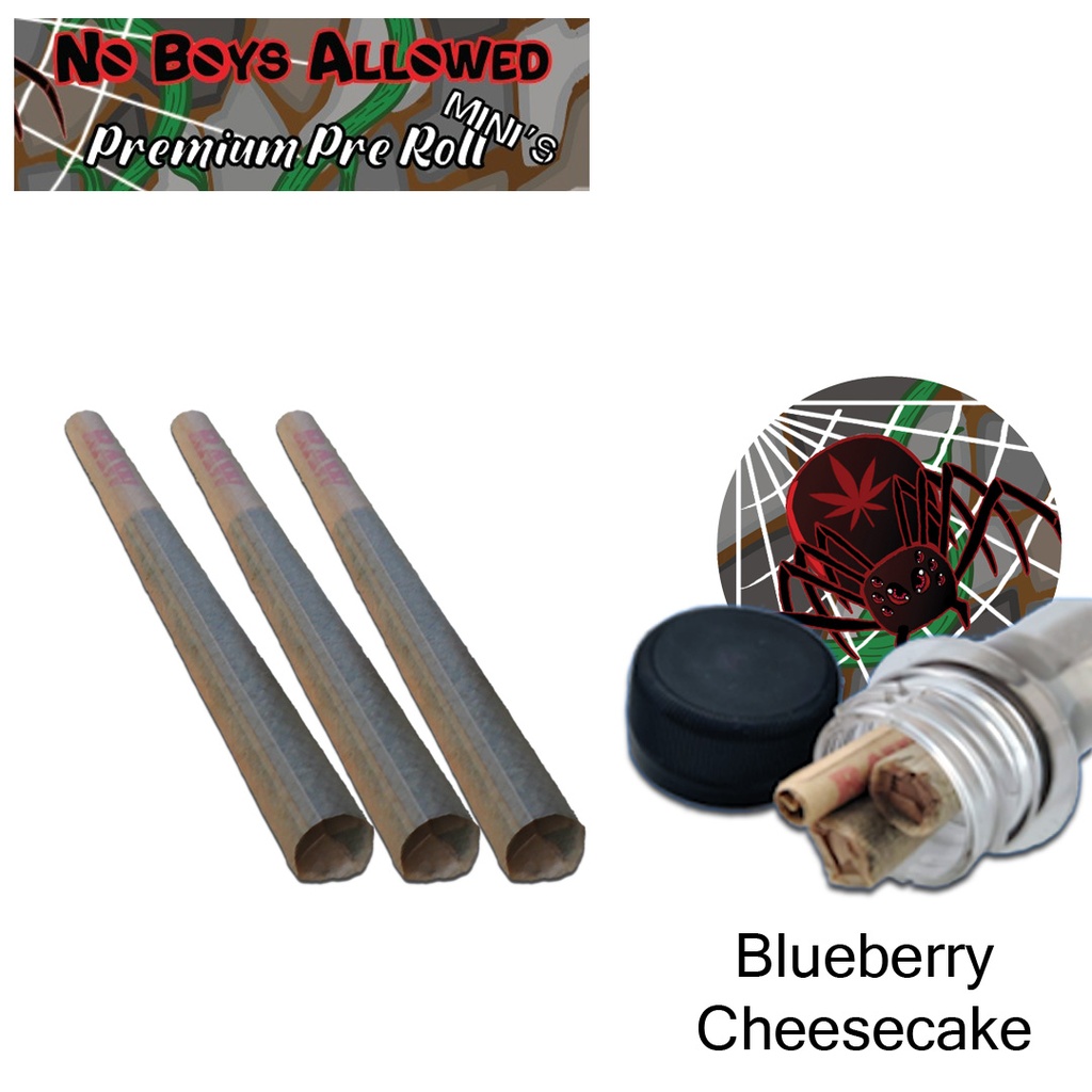 No Boys Allowed Premium Pre-Rolls - Mini's - Greendoor - Blueberry Cheesecake (Indica) 3's