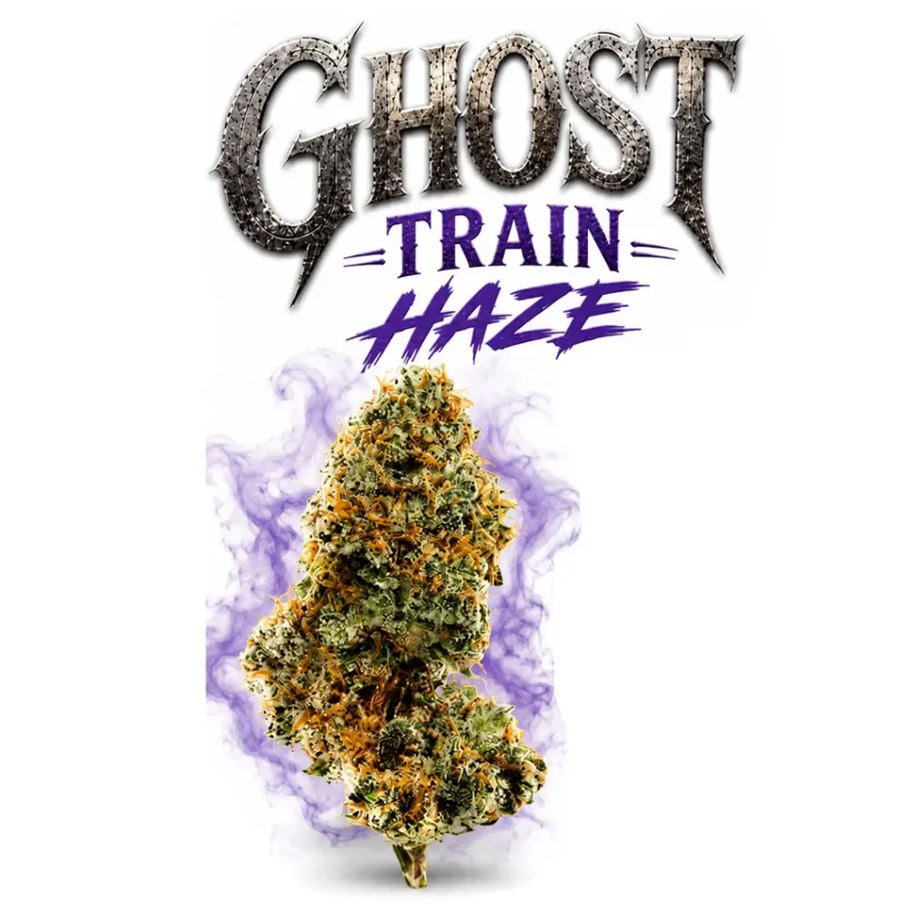Premium Indoor Moonrocks Flower 1g - Ghost Train Haze (Sativa)