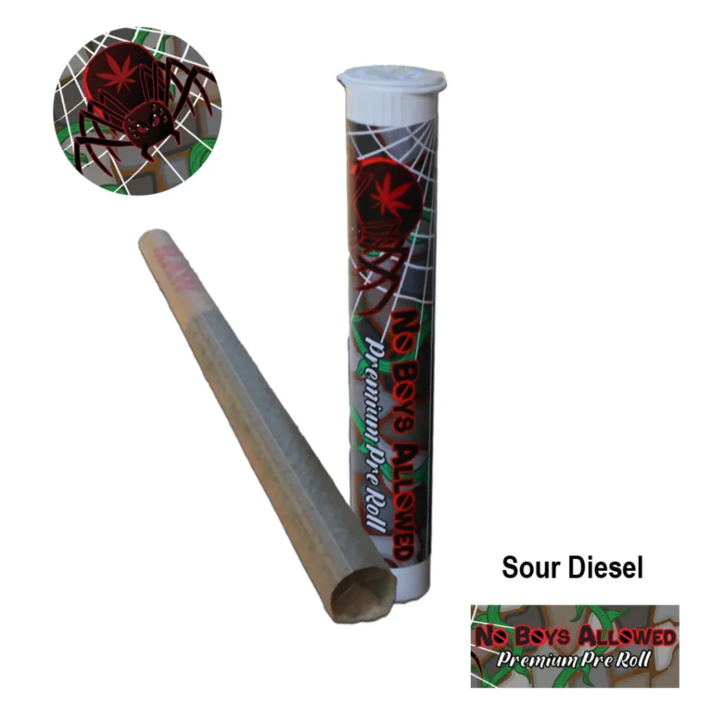 No Boys Allowed Premium Pre-Rolls - Kingsize - Greendoor - Sour Diesel (Sativa)