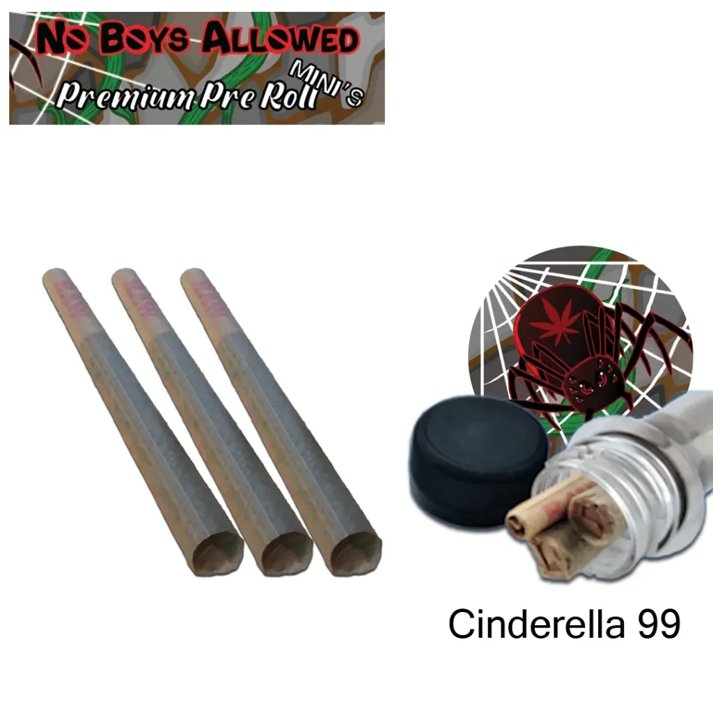 No Boys Allowed Premium Pre-Rolls - Mini's - Greendoor - Cinderella 99 (Sativa) 3's