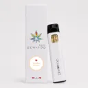 ZenPod Disposable Vapes 1ml - Sundae Driver (Hybrid)